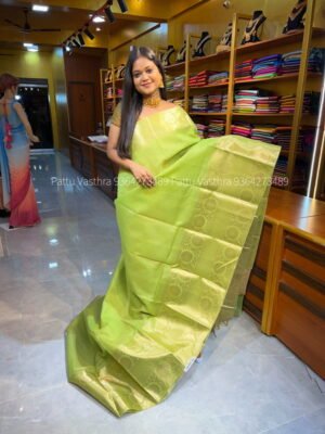 Light Green Tissue Organza