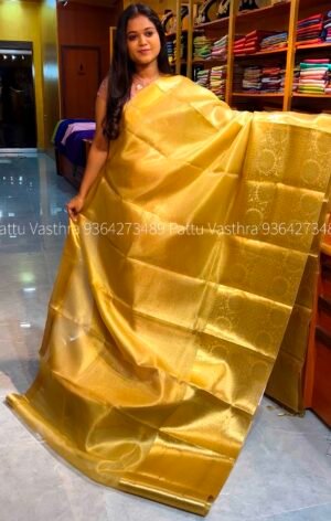 Gold Tissue Organza saree