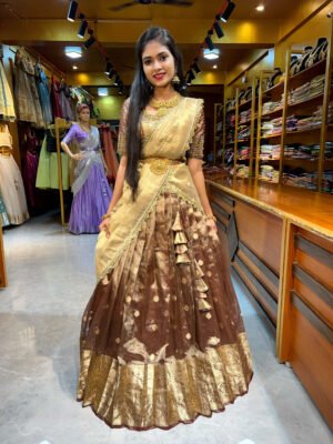 Brown Butti Tissue Aari Worked Half Saree