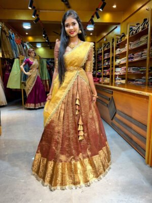 Brown Crushed Tissue with Gold Half Saree