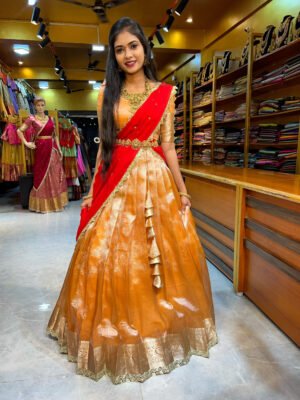 Peach with Red Crushed Tissue with Gold Half Saree