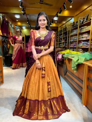 Coffee with Brown Half Saree