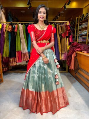 Sea Green with Red Banaras Half Saree