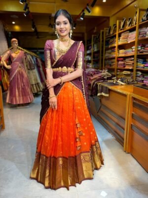 Burnt Orange with Coffee Tissue Half Saree